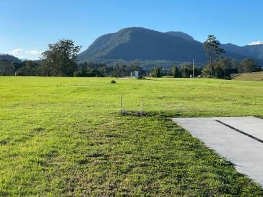 Residential Block For Sale - NSW - Nimbin - 2480 - Beautiful Land, Gorgeous Views  (Image 2)
