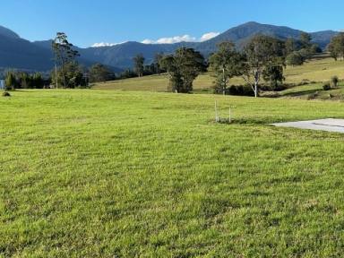 Residential Block For Sale - NSW - Nimbin - 2480 - Beautiful Land, Gorgeous Views  (Image 2)