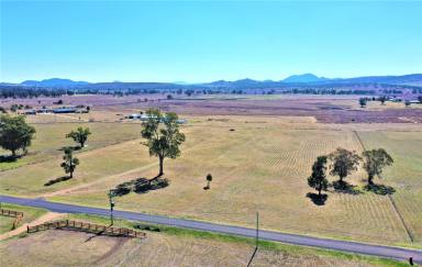 Lifestyle For Sale - NSW - Quirindi - 2343 - QUIET LIFESTYLE LOCATION & SPECTACULAR VIEWS  (Image 2)