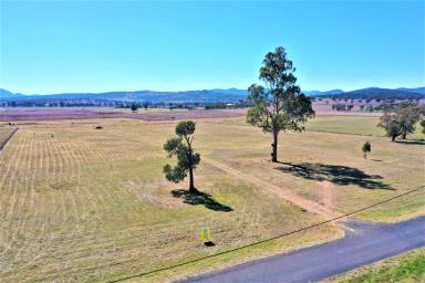 Lifestyle For Sale - NSW - Quirindi - 2343 - QUIET LIFESTYLE LOCATION & SPECTACULAR VIEWS  (Image 2)