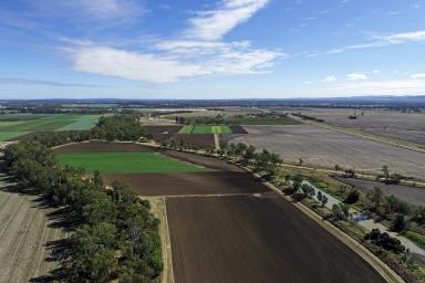 Cropping Sold - QLD - Thangool - 4716 - Callide Valley Food Bowl - Crops, Beef, Hay  (Image 2)