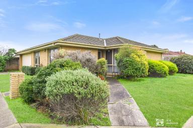 House Sold - VIC - Cranbourne West - 3977 - Built for comfort, positioned for convenience!!  (Image 2)