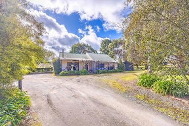 House Sold - VIC - Scarsdale - 3351 - Incredible Lifestyle Property With Impressive Equine Infrastructure!  (Image 2)