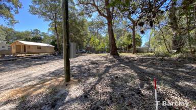 Residential Block Sold - QLD - Russell Island - 4184 - Electricity connection, surveyed with soil report available - 18.1m wide frontage  (Image 2)