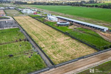 Lifestyle For Sale - VIC - Tynong - 3813 - ONE FOR THE TRAINERS & ASTUTE INVESTORS  (Image 2)