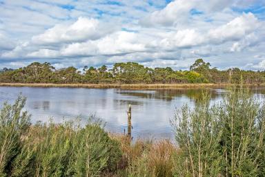 House For Sale - TAS - Smithton - 7330 - Enjoy Gazing  at the "Duck River" from the Entertainment Deck  (Image 2)