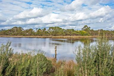 House Sold - TAS - Smithton - 7330 - Enjoy Gazing  at the "Duck River" from the Entertainment Deck  (Image 2)