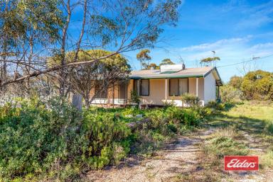 House Sold - SA - Owen - 5460 - UNDER CONTRACT AFTER FIRST OPEN INSPECTION  (Image 2)