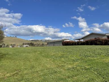 Residential Block Sold - NSW - Gundagai - 2722 - Building block with a view.  (Image 2)