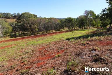 Residential Block Sold - QLD - Childers - 4660 - We're Back and CHEAPER Than Ever!!!  (Image 2)