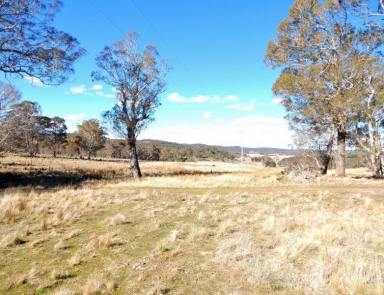 Other (Rural) Sold - NSW - Kybeyan - 2631 - Eastern Tableland Block - Kybeyan River Frontage  (Image 2)