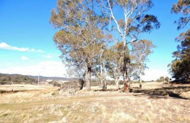 Other (Rural) Sold - NSW - Kybeyan - 2631 - Eastern Tableland Block - Kybeyan River Frontage  (Image 2)