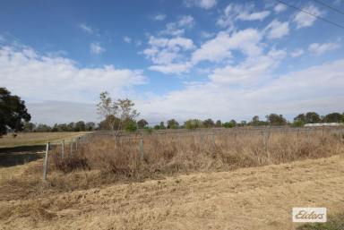 Residential Block Sold - QLD - Rifle Range - 4311 - Fertile 10.84 Acres with Water
UNDER CONTRACT  (Image 2)