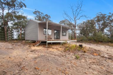 House Sold - NSW - Putty - 2330 - Unveil Your Dream Weekend Retreat: Your Blank Canvas Awaits!  (Image 2)