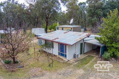 Lifestyle Sold - NSW - Gilgai - 2360 - Rural Paradise Awaits  (Image 2)
