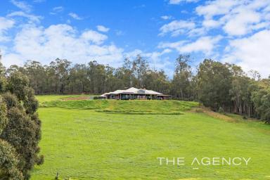 House Sold - WA - Pickering Brook - 6076 - MASSIVE HOME - LARGE SHED - LAND  (Image 2)