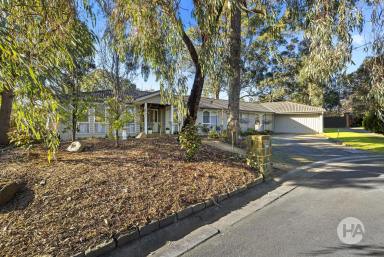 House For Sale - VIC - Balnarring - 3926 - Family Hideaway On Quiet Court  (Image 2)