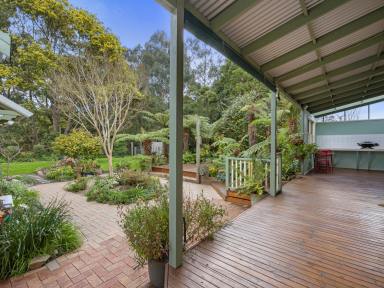 House Sold - VIC - Foster - 3960 - Magnificent period home amidst picturesque creekfront gardens  (Image 2)