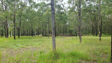 Farmlet For Sale - QLD - Blackbutt - 4314 - Looking at building your rural lifestyle in close proximity to town?  (Image 2)