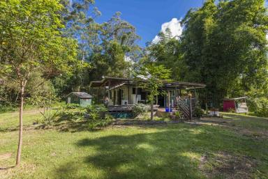 Other (Rural) For Sale - NSW - Mount Burrell - 2484 - PERENNIAL PARADISE.  (Image 2)