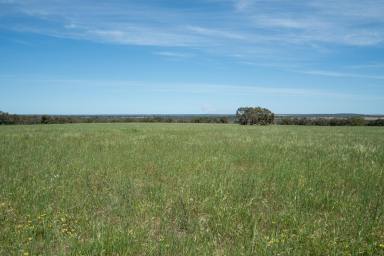 Other (Rural) For Sale - WA - Mindarra - 6503 - "Expansive 443 Acres with a Charming Residence"  (Image 2)