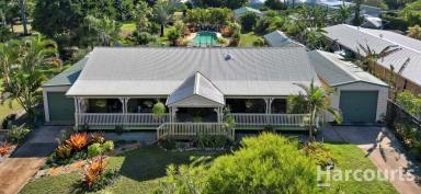 House Sold - QLD - Toogoom - 4655 - Dream come true! Half Acre near the Beach!  (Image 2)