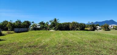 Residential Block For Sale - QLD - Cardwell - 4849 - Large vacant lot s priced for a quick sale! So be quick!  (Image 2)