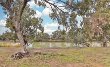 House Sold - NSW - Wentworth - 2648 - DARLING RIVER FRONTAGE, NEW HOME SITE  (Image 2)