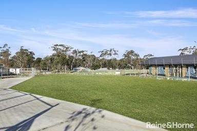 Residential Block Sold - NSW - Balaclava - 2575 - Build Your Dream Home Today!  (Image 2)