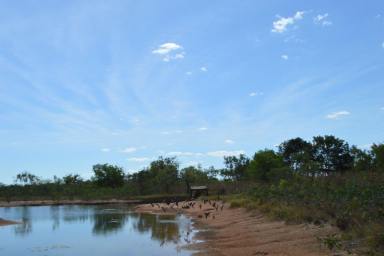 House Sold - NT - Berry Springs - 0838 - "Under Offer"
22.90 Acres for sale by EOI  (Image 2)