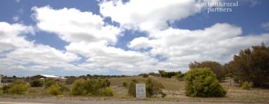 Residential Block For Sale - SA - Marion Bay - 5575 - Immediate Settlement * Rural Residential Stage 1 Land Ready to build on *  (Image 2)