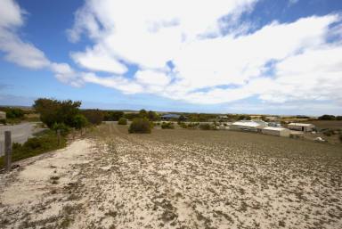 Residential Block For Sale - SA - Marion Bay - 5575 - Immediate Settlement * Rural Residential Stage 1 Land Ready to build on * Blocks selling fast *  (Image 2)