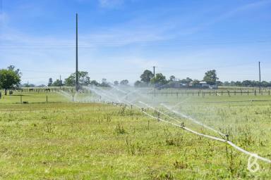 Mixed Farming Sold - NSW - Singleton - 2330 - BUILD YOUR RURAL DREAM | IRRIGATION FARM | 13 ACRES  (Image 2)