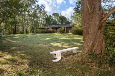House Sold - NSW - Broughton Vale - 2535 - Rare 1 acre Broughton Vale parcel  (Image 2)