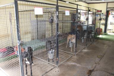 Other (Rural) For Sale - NSW - Doubtful Creek - 2470 - Dog Lovers Paradise!  (Image 2)