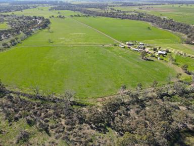 Cropping For Sale - VIC - Kerang - 3579 - Where the rivers run  (Image 2)