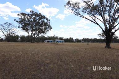 Residential Block For Sale - NSW - Inverell - 2360 - Acreage Allotment in 'Runnymede Heights Estate'  (Image 2)