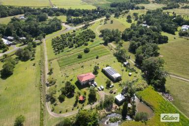 House Sold - QLD - Bombeeta - 4871 - 15.5 Acres of Paradise with dual occupancy potential and a 54 MEG water licence.  (Image 2)