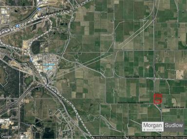 Mixed Farming Sold - WA - Paradise - 6236 - Your Own Piece of Paradise  (Image 2)