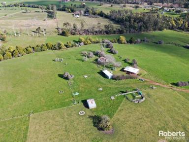 Mixed Farming For Sale - TAS - Beaconsfield - 7270 - Country Retreat on Acreage  (Image 2)