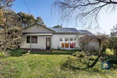 Lifestyle Sold - VIC - Beech Forest - 3237 - Create your own sanctuary on top of the hill...  (Image 2)