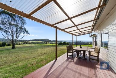 Lifestyle Sold - VIC - Beech Forest - 3237 - Create your own sanctuary on top of the hill...  (Image 2)