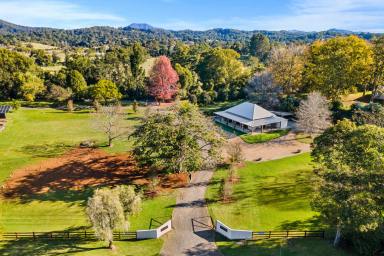 Acreage/Semi-rural For Sale - NSW - Bellingen - 2454 - Bellingen Lifestyle Property - Bellingen Riverside Cottages  (Image 2)