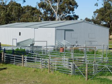 Mixed Farming For Sale - SA - Bangham - 5268 - Great Mixed Farming Opportunity  (Image 2)