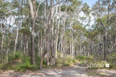 Residential Block Sold - WA - Rosa Glen - 6285 - Pristine Bushland  (Image 2)