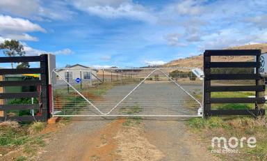 Residential Block Sold - TAS - Brighton - 7030 - Embrace a rural lifestyle!  (Image 2)