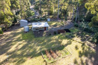 House Sold - TAS - Eaglehawk Neck - 7179 - Low maintenance "home sweet home" hidden within the coastal forest of Eaglehawk Neck  (Image 2)