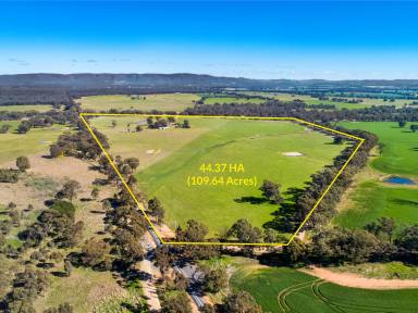 Lifestyle Sold - VIC - Homebush - 3465 - 44.37HA (109.64 Acres) Highly Improved Versatile Income Potential  (Image 2)