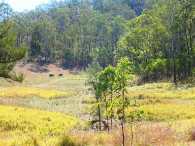 Lifestyle For Sale - NSW - Rocky River - 2372 - POT OF GOLD  (Image 2)