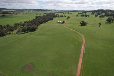 Mixed Farming Sold - WA - Jelcobine - 6306 - "The Caves"          West Brookton                                   379.2ha (936.62acres)  (Image 2)